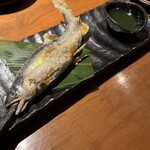 ROBATA 二代目 心 - 