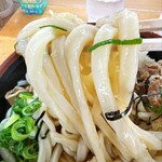 Kashimura Udon - コシコシ麺