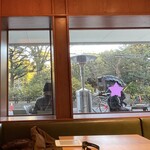 VERVE COFFEE ROASTERS - 窓からは公園の緑