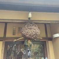 和食 ステーキ よひら - 
