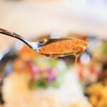Curry DAVA - 