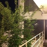 Bar Tetu 佐賀本店 - 3階。エレベーターを降りると、そこに黒い扉が見えます。
                                
                                「こちら側」へどうぞ。