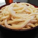 武蔵野うどん きやんち - 肉汁うどん大盛り 880円