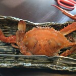 丸誠 - 渡り蟹