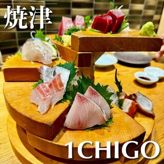 1 CHIGO - お刺身盛り合わせ