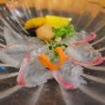 北新地 成司 - 刺身(鯛の薄造り)