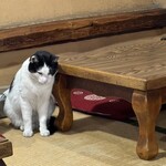 煮込 千成 本店 - 