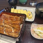 Unagi Ichifuji - 