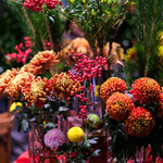 青山フラワーマーケット グリーンハウス - 