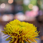 青山フラワーマーケット グリーンハウス - 