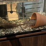 ビストロ セレニテ - 