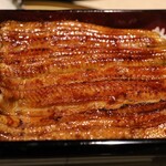 Unagi Mejiro Zorome - 