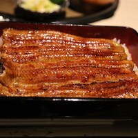 うなぎ 目白ぞろ芽 - 