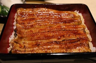 Unagi Mejiro Zorome - 