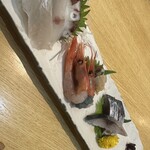 Ika Sushi Dainingu Sensuke - 刺し盛り