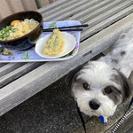 Kompira Udon - 《 店舗前のベンチ席で、愛犬と… 》
