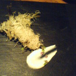 カモシヤ クスモト - 