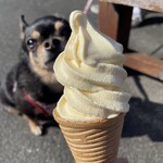 道の駅 いっぷく処 横川 - 料理写真: