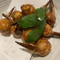 晩鶏 -  晩鶏 -