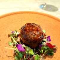 LIAISON AZABUDAI - ⚫鹿 八色しいたけ