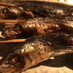炉端酒場 だぃつ - 鰯