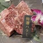 小川亭 とらちゃん - 