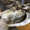 かき小屋 - 松島町産牡蠣