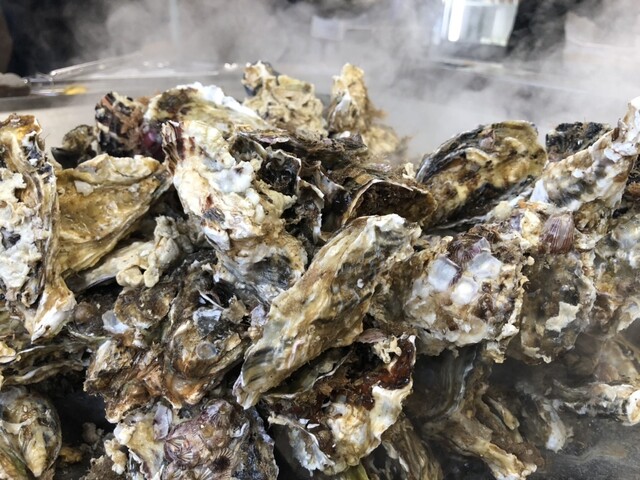 かき小屋（松島観光協会） - 松島（かき）の写真