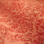 おんどる - 室温でとけ始める良質脂！