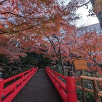 菊水楼 うな菊 ホテル椿山荘東京店 -  菊水楼 うな菊 ホテル椿山荘東京店 -