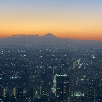 土佐料理 祢保希 新宿店 - 
