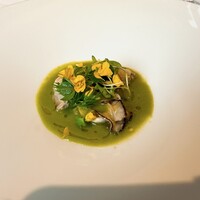macua - 