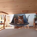 books to curry 猫のしっぽ - 