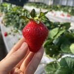 姫路ハートフル観光農園 - 