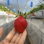 姫路ハートフル観光農園 - 