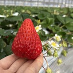 姫路ハートフル観光農園 - 