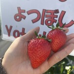 姫路ハートフル観光農園 - 