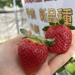 姫路ハートフル観光農園 - 