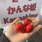 姫路ハートフル観光農園 - 