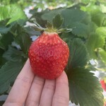 姫路ハートフル観光農園 - 