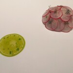 ラチュレ - 鰤大根？