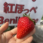 姫路ハートフル観光農園 - 