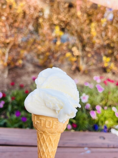 メガケバブ （MegaKebab） - 三河大塚/トルコ料理 | 食べログ