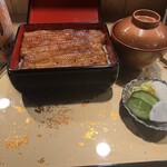 うなぎ 目白ぞろ芽 - 