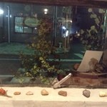 サーカス - 窓際のカウンター席から（夜）