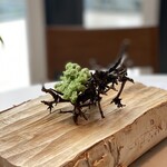 モリエール モンターニュ - 