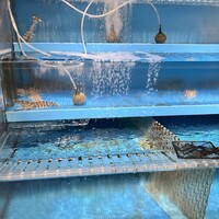 築地青空三代目 本店 - 