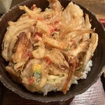 Zemmii Ssaan - ミニかき揚げ丼