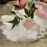 魚匠 銀平 心斎橋店 - 