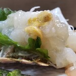 末広寿司 - ◆ウチワエビ(銚子産)の刺身